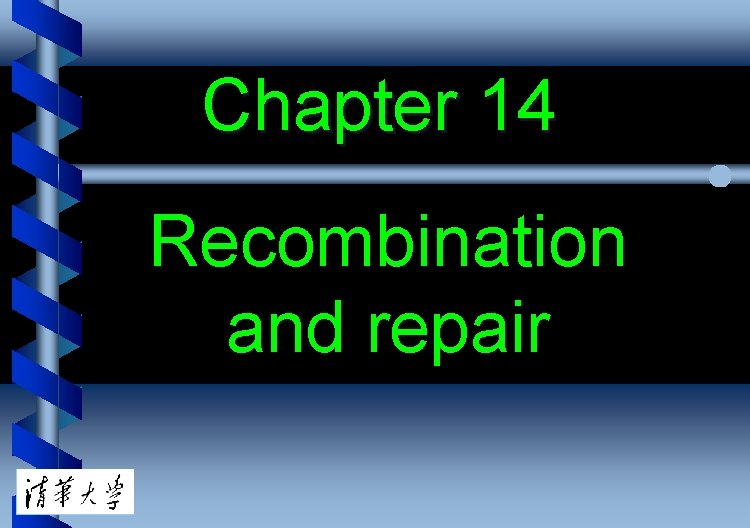 Chapter 14 Recombination and repair 