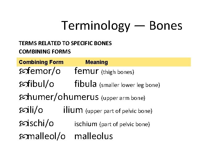 Terminology — Bones TERMS RELATED TO SPECIFIC BONES COMBINING FORMS Combining Form Meaning femor/o