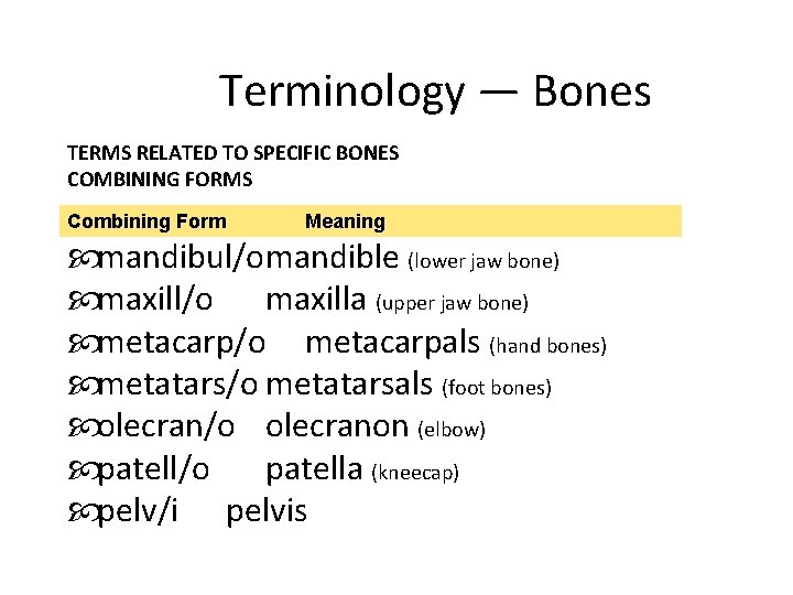 Terminology — Bones TERMS RELATED TO SPECIFIC BONES COMBINING FORMS Combining Form Meaning mandibul/omandible