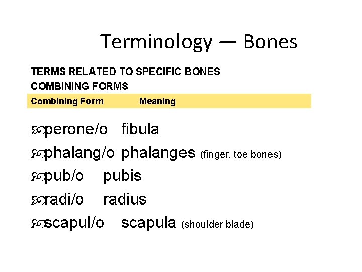 Terminology — Bones TERMS RELATED TO SPECIFIC BONES COMBINING FORMS Combining Form Meaning perone/o