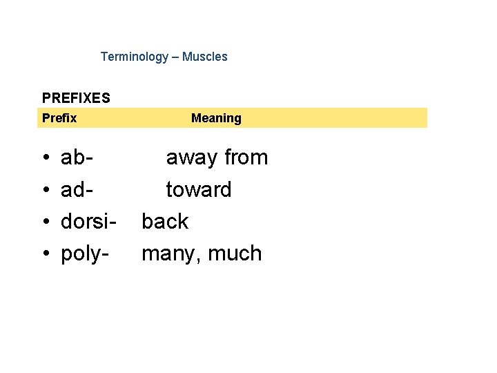 Terminology – Muscles PREFIXES Prefix • • abaddorsipoly- Meaning away from toward back many,