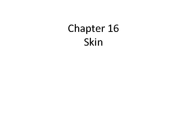 Chapter 16 Skin 