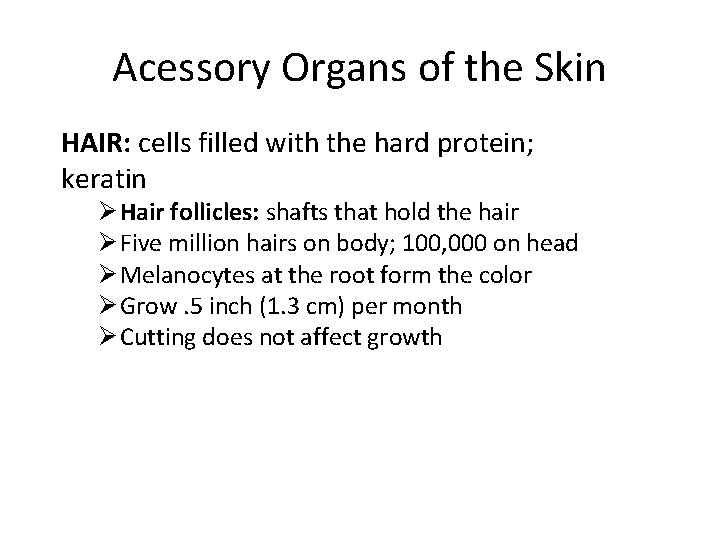 Acessory Organs of the Skin HAIR: cells filled with the hard protein; keratin Ø