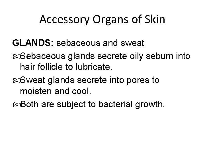 Accessory Organs of Skin GLANDS: sebaceous and sweat Sebaceous glands secrete oily sebum into