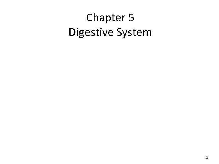 Chapter 5 Digestive System 21 