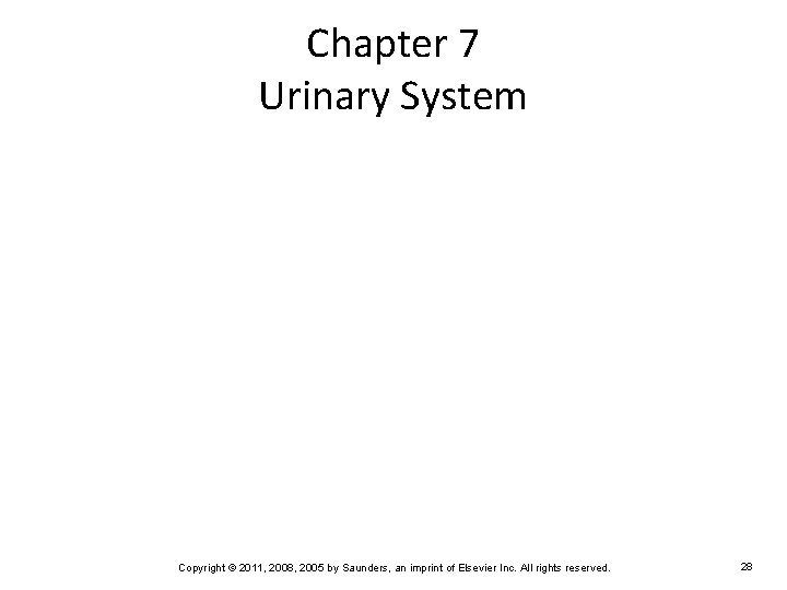 Chapter 7 Urinary System Copyright © 2011, 2008, 2005 by Saunders, an imprint of