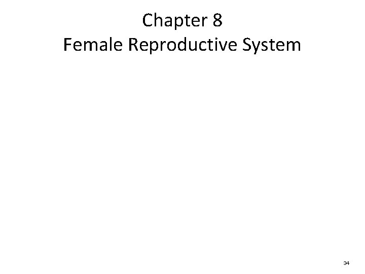 Chapter 8 Female Reproductive System 34 