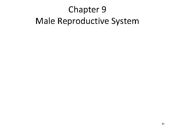 Chapter 9 Male Reproductive System 51 