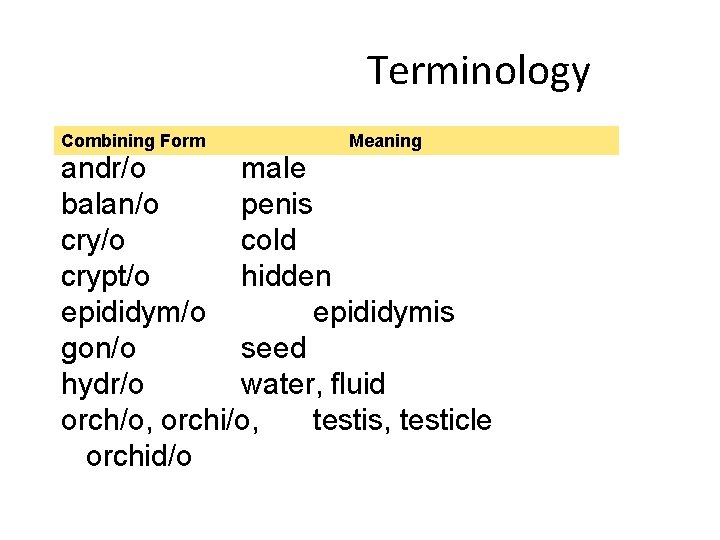 Terminology Combining Form Meaning andr/o male balan/o penis cry/o cold crypt/o hidden epididym/o epididymis