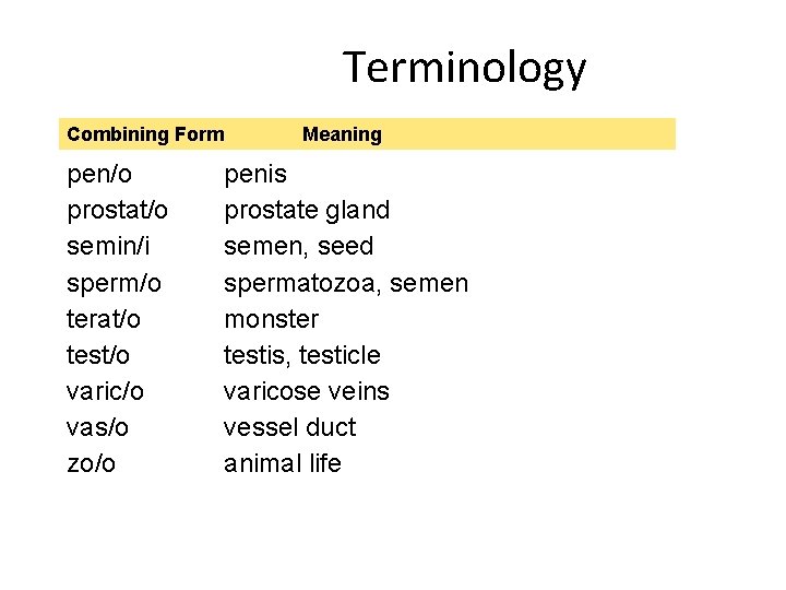 Terminology Combining Form pen/o prostat/o semin/i sperm/o terat/o test/o varic/o vas/o zo/o Meaning penis