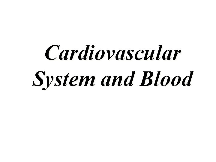 Cardiovascular System and Blood 