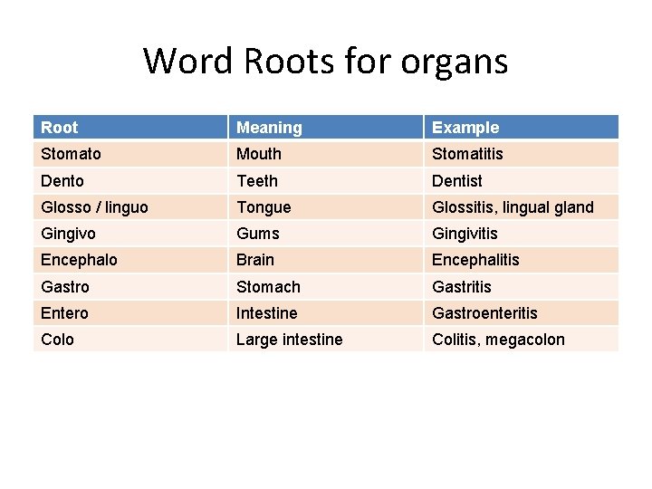Word Roots for organs Root Meaning Example Stomato Mouth Stomatitis Dento Teeth Dentist Glosso