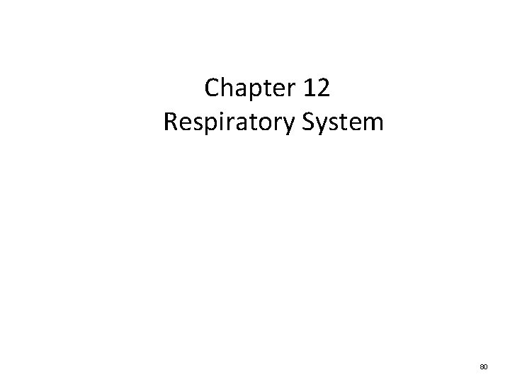 Chapter 12 Respiratory System 80 