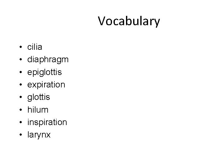 Vocabulary • • cilia diaphragm epiglottis expiration glottis hilum inspiration larynx 