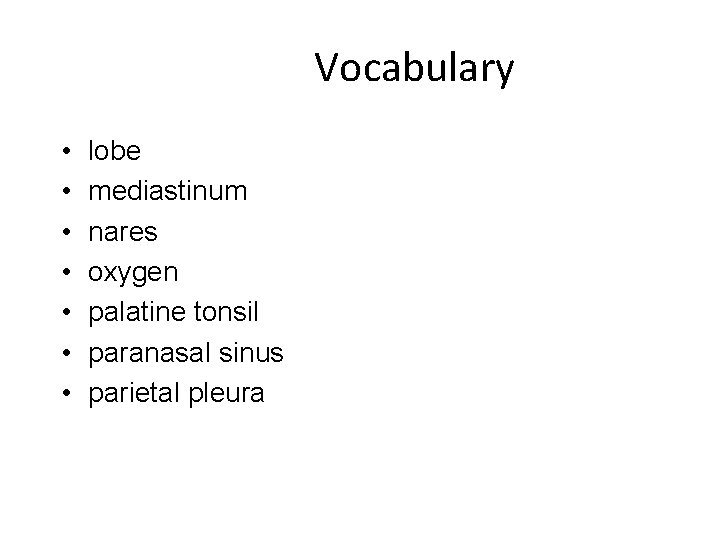 Vocabulary • • lobe mediastinum nares oxygen palatine tonsil paranasal sinus parietal pleura 