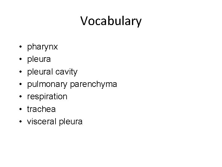 Vocabulary • • pharynx pleural cavity pulmonary parenchyma respiration trachea visceral pleura 