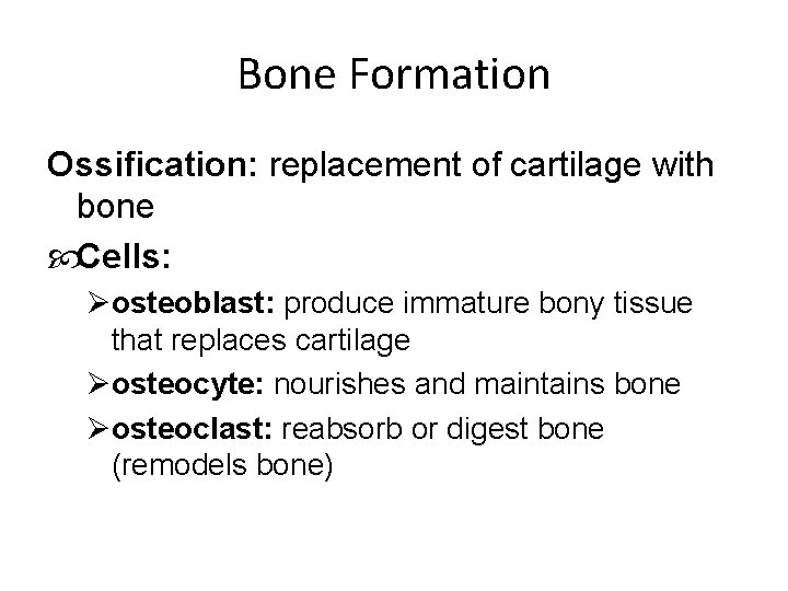 Bone Formation Ossification: replacement of cartilage with bone Cells: Øosteoblast: produce immature bony tissue