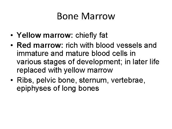 Bone Marrow • Yellow marrow: chiefly fat • Red marrow: rich with blood vessels