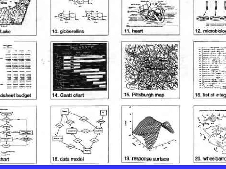 Subset of Example Visual Representations From Lohse et al. 94 