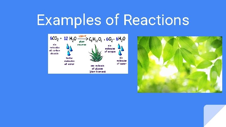 Examples of Reactions Examples of Reactions