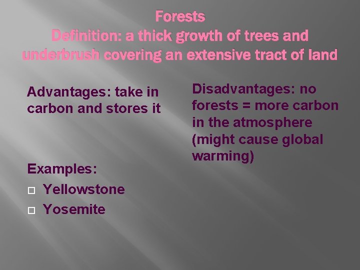 Forests Definition: a thick growth of trees and underbrush covering an extensive tract of