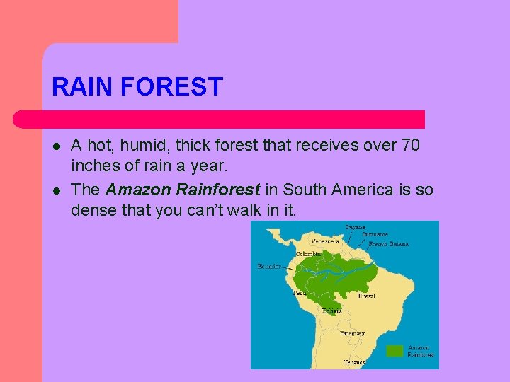 RAIN FOREST l l A hot, humid, thick forest that receives over 70 inches