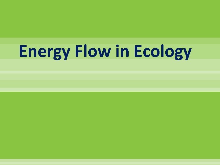Energy Flow in Ecology 