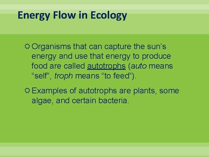 Energy Flow in Ecology Organisms that can capture the sun’s energy and use that