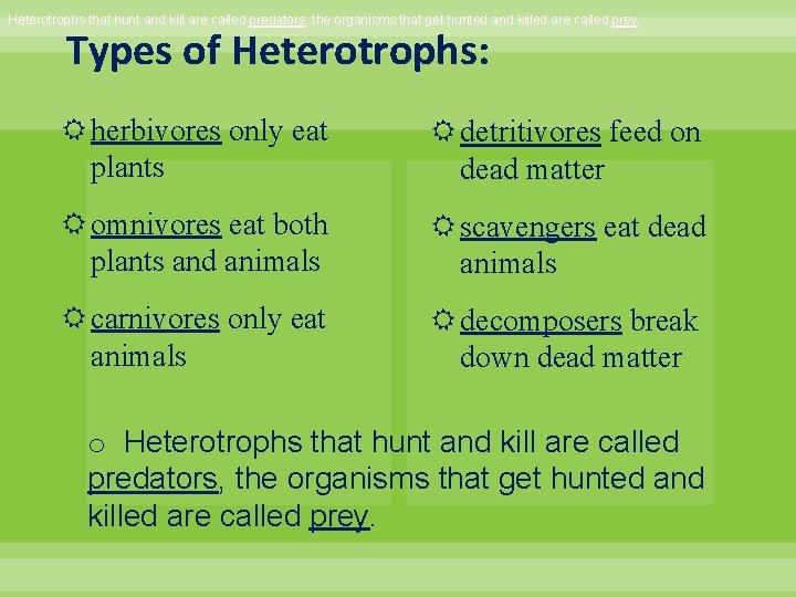 Heterotrophs that hunt and kill are called predators, the organisms that get hunted and