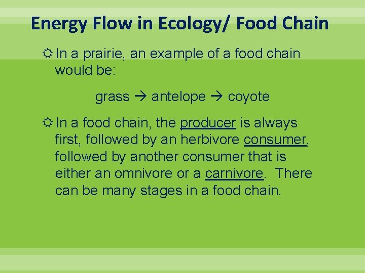 Energy Flow in Ecology/ Food Chain In a prairie, an example of a food