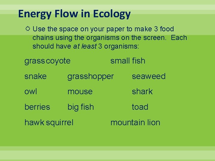 Energy Flow in Ecology Use the space on your paper to make 3 food