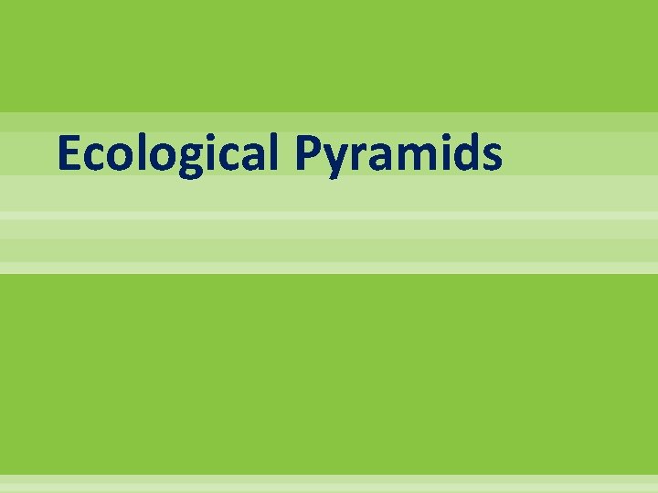 Ecological Pyramids 