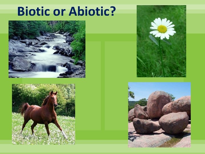 Biotic or Abiotic? 