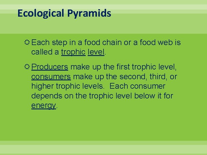 Ecological Pyramids Each step in a food chain or a food web is called