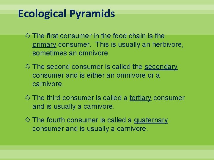 Ecological Pyramids The first consumer in the food chain is the primary consumer. This