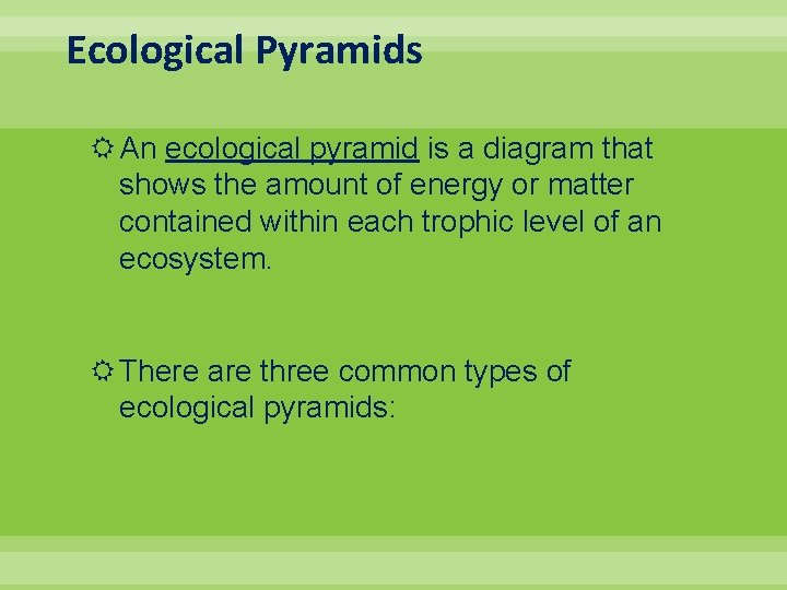 Ecological Pyramids An ecological pyramid is a diagram that shows the amount of energy