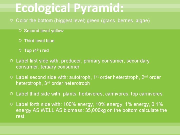 Ecological Pyramid: Color the bottom (biggest level) green (grass, berries, algae) Second level yellow