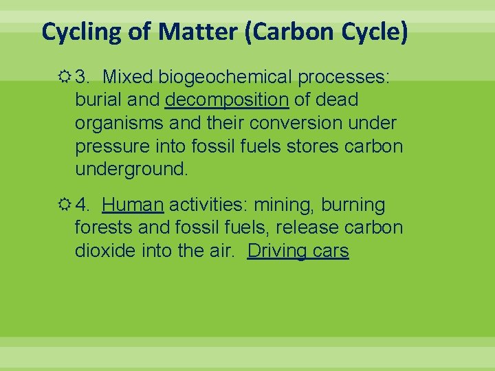 Cycling of Matter (Carbon Cycle) 3. Mixed biogeochemical processes: burial and decomposition of dead