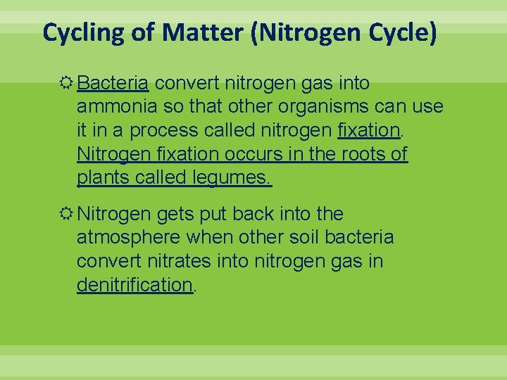 Cycling of Matter (Nitrogen Cycle) Bacteria convert nitrogen gas into ammonia so that other