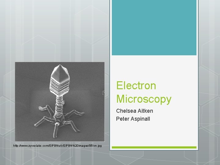 Electron Microscopy Chelsea Aitken Peter Aspinall http: //www. zyvexlabs. com/EIPBNu. G/EIPBN%20 images/05 Ion. jpg