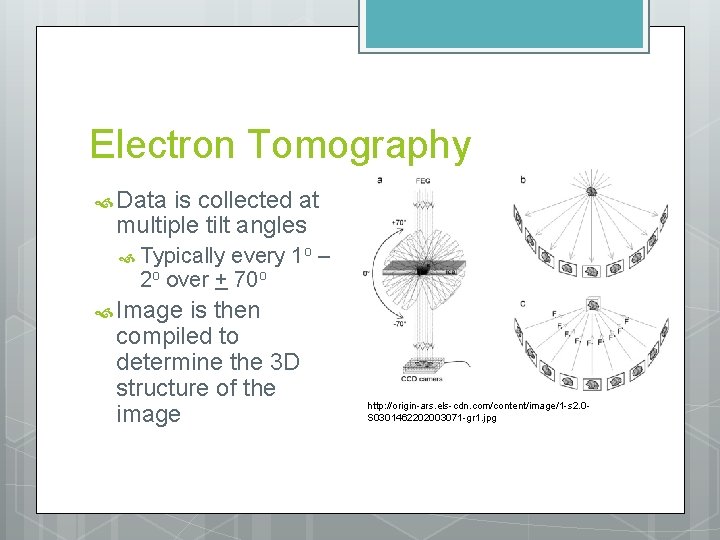 Electron Tomography Data is collected at multiple tilt angles Typically every 1 o –