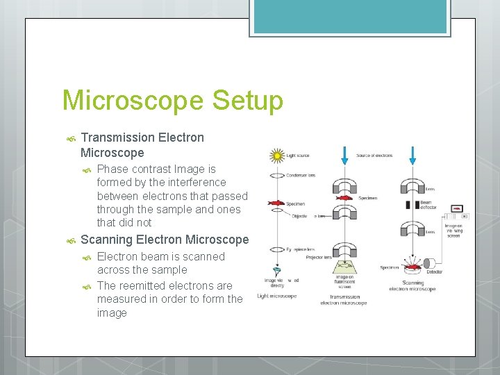 Microscope Setup Transmission Electron Microscope Phase contrast Image is formed by the interference between