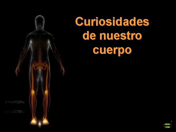 Curiosidades de nuestro cuerpo 