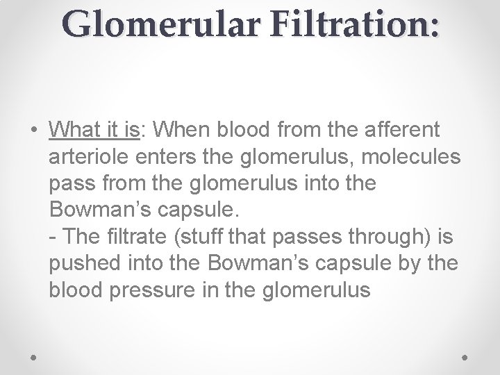 Glomerular Filtration: • What it is: When blood from the afferent arteriole enters the