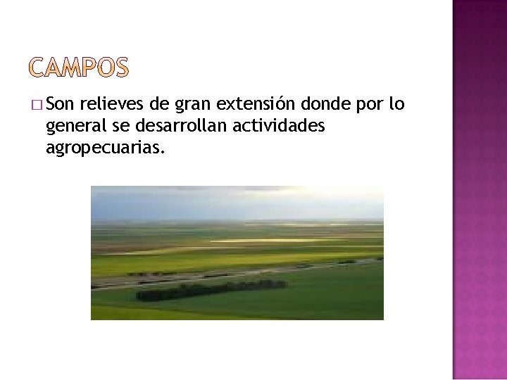 � Son relieves de gran extensión donde por lo general se desarrollan actividades agropecuarias.