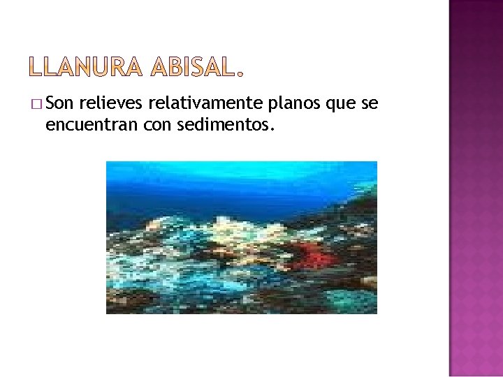 � Son relieves relativamente planos que se encuentran con sedimentos. 