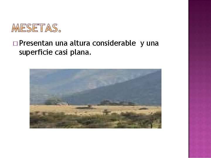 � Presentan una altura considerable y una superficie casi plana. 