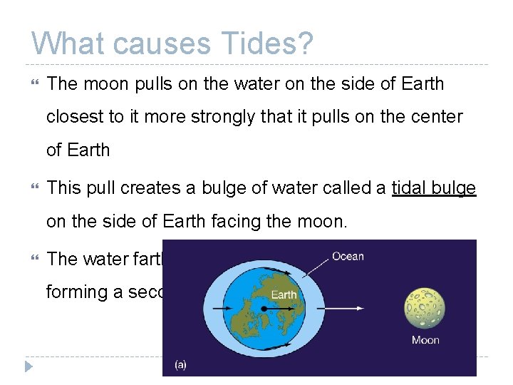 What causes Tides? The moon pulls on the water on the side of Earth