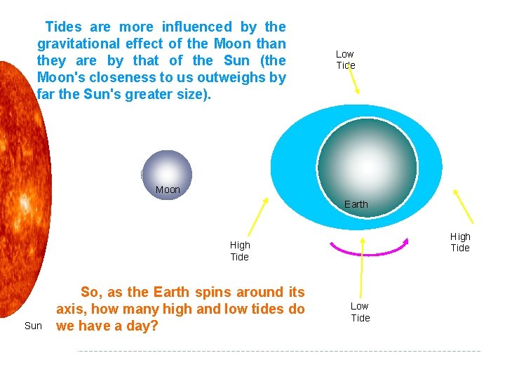 Tides are more influenced by the gravitational effect of the Moon than they are