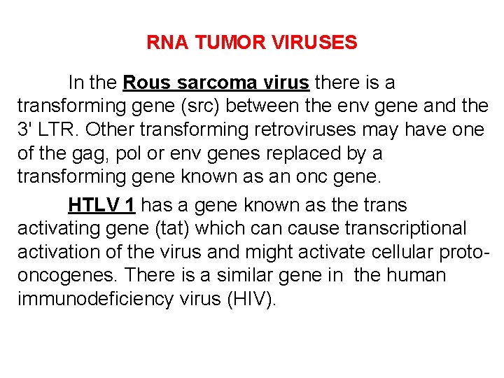 RNA TUMOR VIRUSES In the Rous sarcoma virus there is a transforming gene (src)